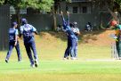 Kutchi Tigers’ bowler Suresh Pariyachi (hands in the air) and his teammates celebrate after danger man Roger Mukasa (R) was bowled. Photo by EDDIE CHICCO 