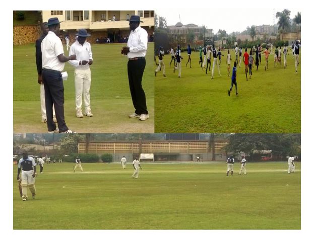 Big four reach Schools Cricket Week semis