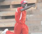 Tornado’s Robin Turinawe celebrates a wicket against KICC last Saturday. PHOTO BY EDDIE CHICCO  